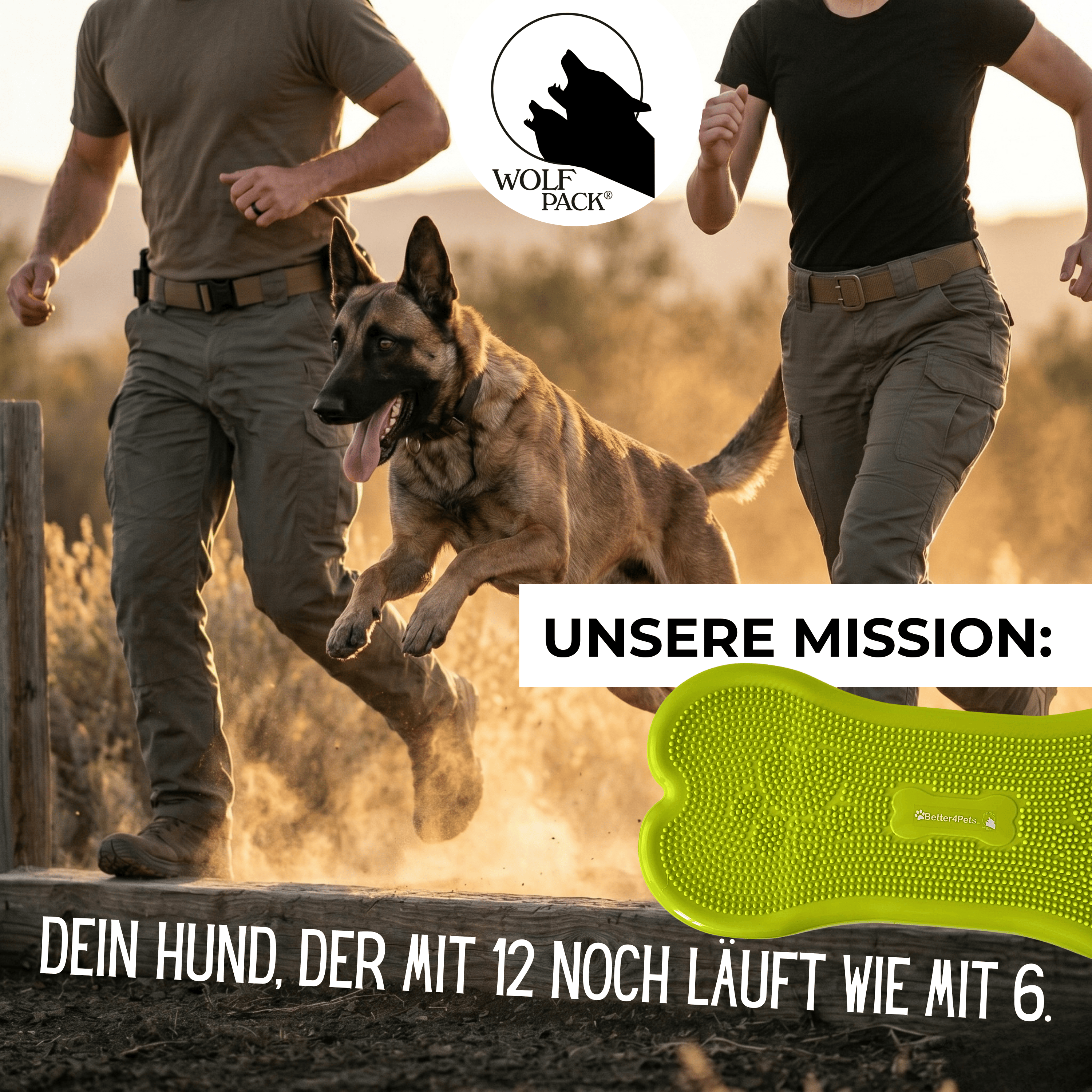 Wolf Pack® Physioprodukte Wolf Pack® CORE | Better4Pets-Edition - Giant Fitness Dog Bone/Trainingsgerät für große Hunde