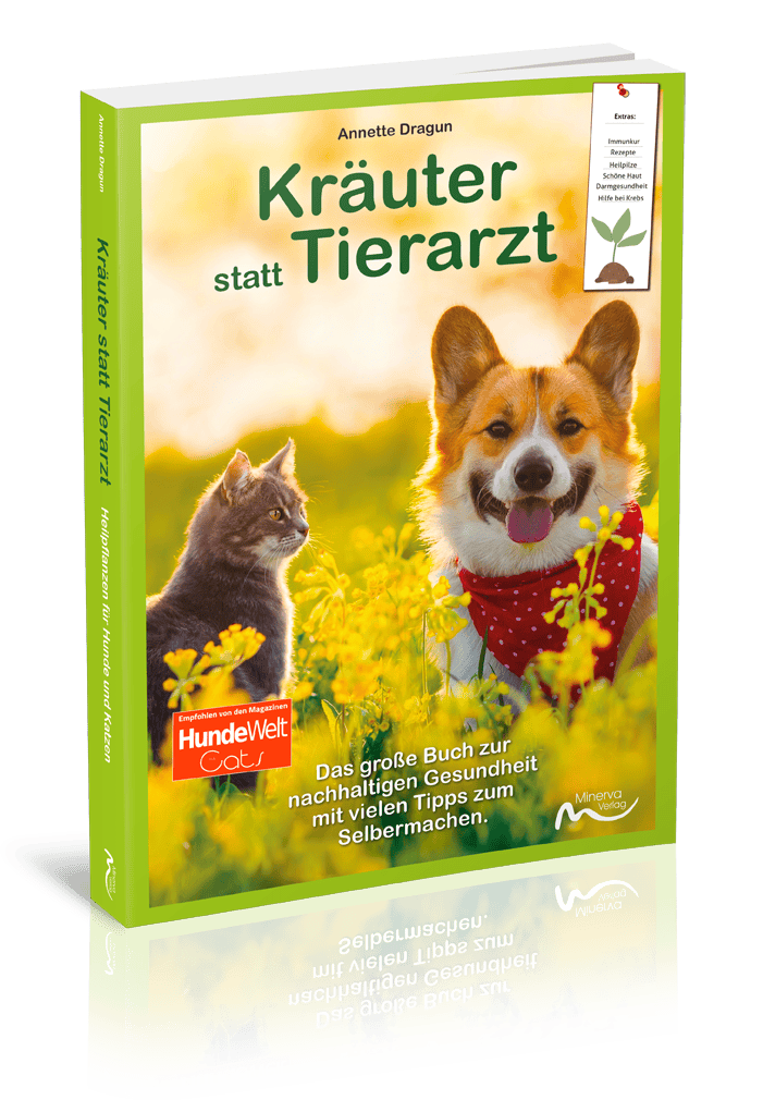 Good4Pets Store Bücher Kräuter statt Tierarzt - Heilpflanzen für Hunde und Katzen (Print,Buch)