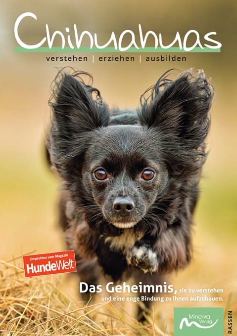 Good4Pets Store Bücher Chihuahuas verstehen | erziehen | ausbilden (Print, Buch)