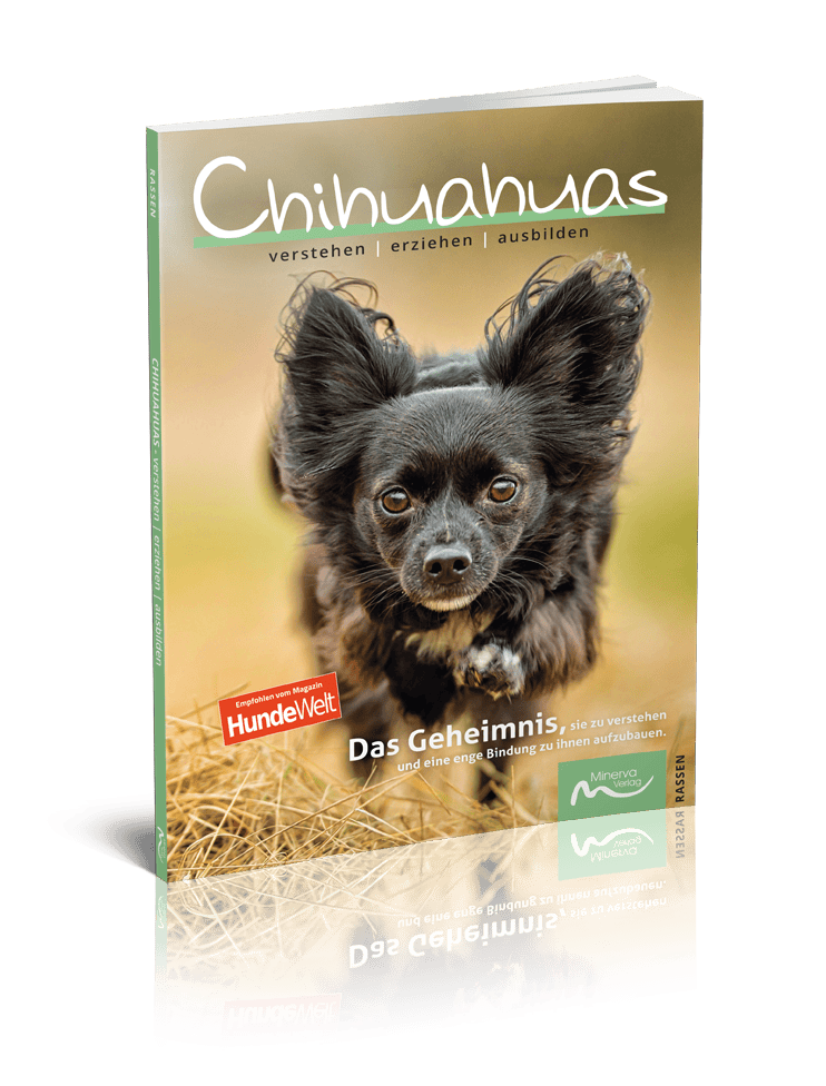 Good4Pets Store Bücher Chihuahuas verstehen | erziehen | ausbilden (Print, Buch)