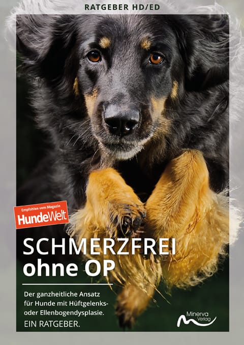Good4Pets Store Bücher Schmerzfrei ohne OP (Print, Buch)