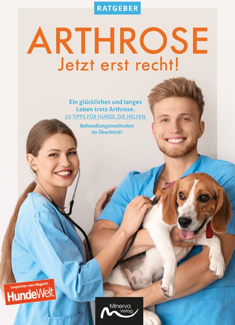 Good4Pets Store Bücher Arthrose - Jetzt erst recht! (Print, Buch)