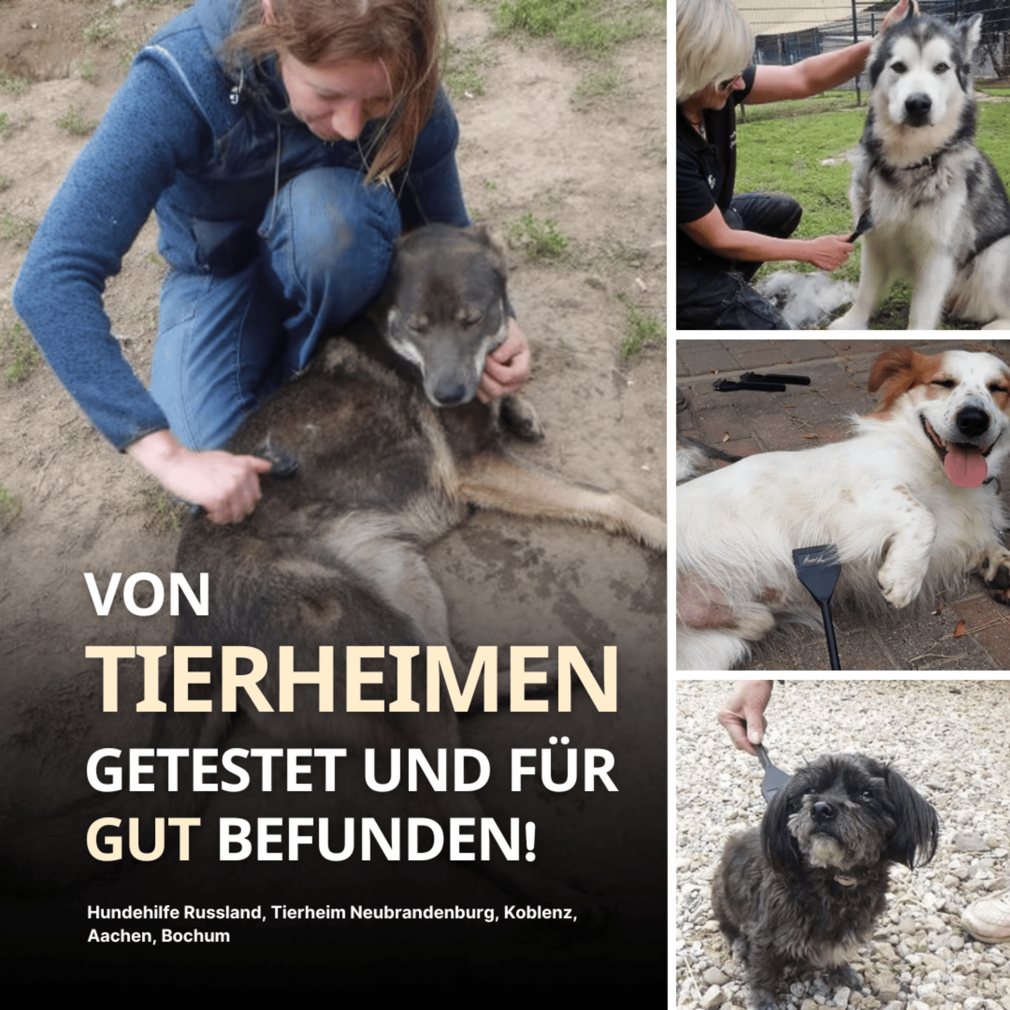 HundertHaar® Fellpflege HundertHaar® Trimmstriegel für Hunde und Katzen