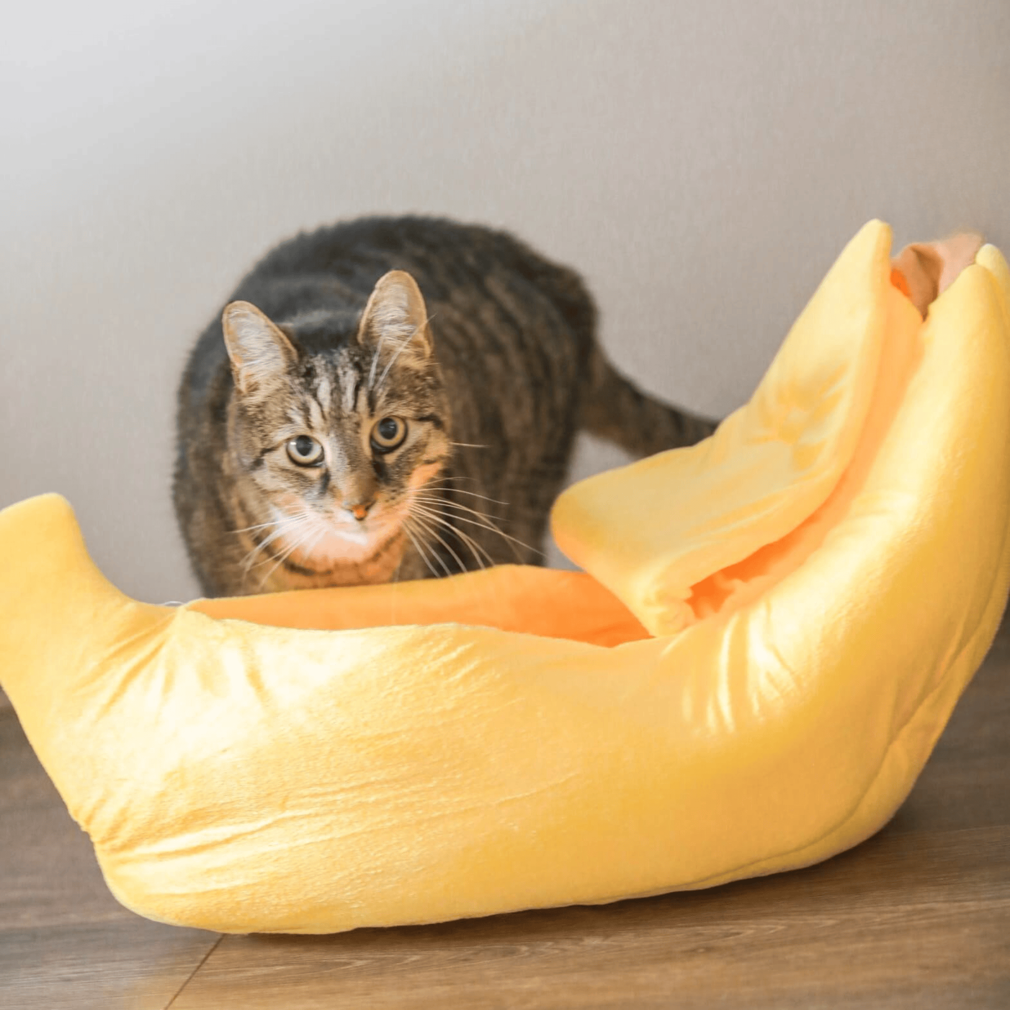 Good4Pets Store Sonstiges Bananen-Bett für Katzen und kleine Hunde (bis 5 kg)