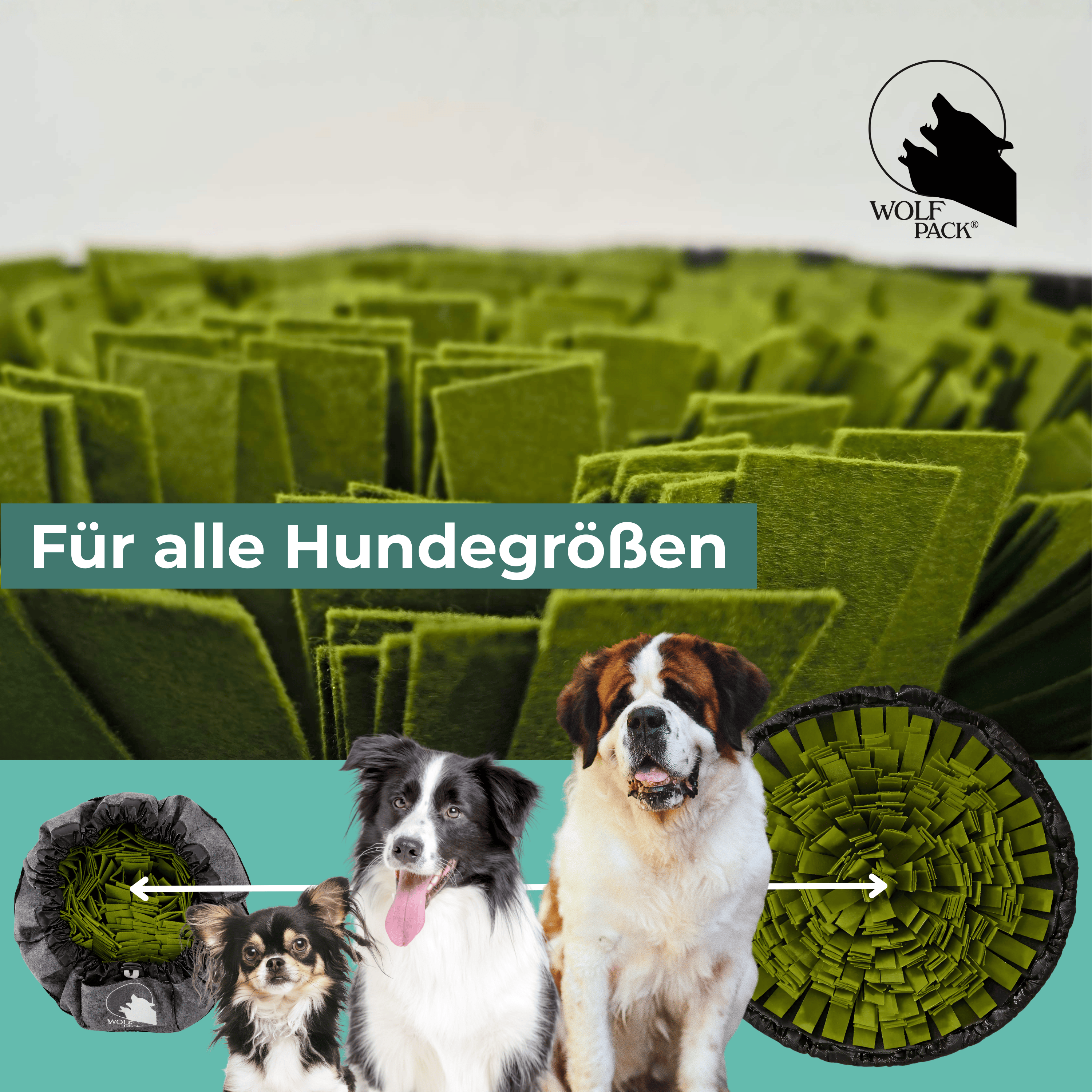 Wolf Pack® Sonstiges Wolf Pack® SCOUT | Black Edition – Schnüffeln macht glücklich