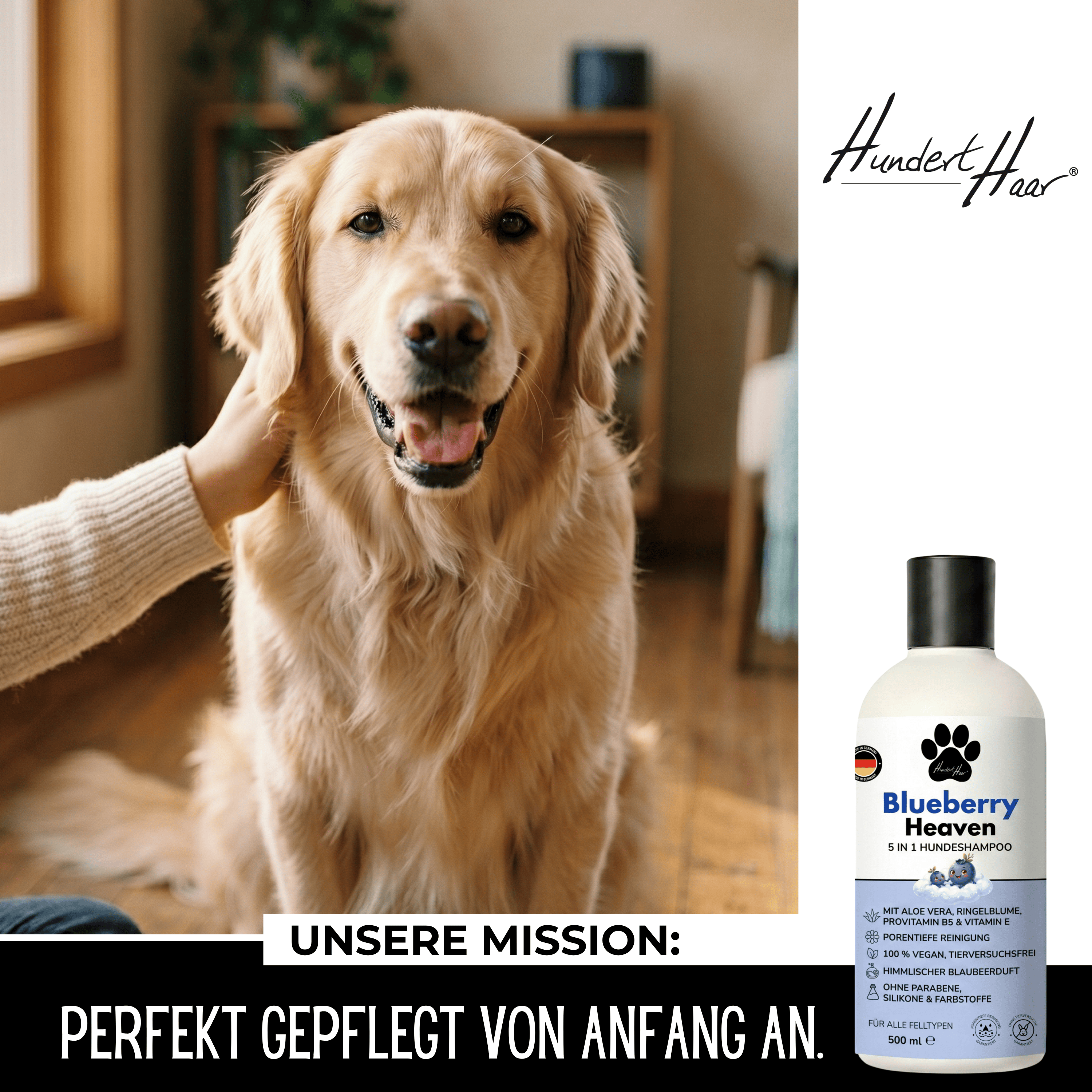 HundertHaar® Fellpflege Blueberry Heaven | 5-in-1 Hundeshampoo by HundertHaar® mit himmlischem Duft (500 ml)