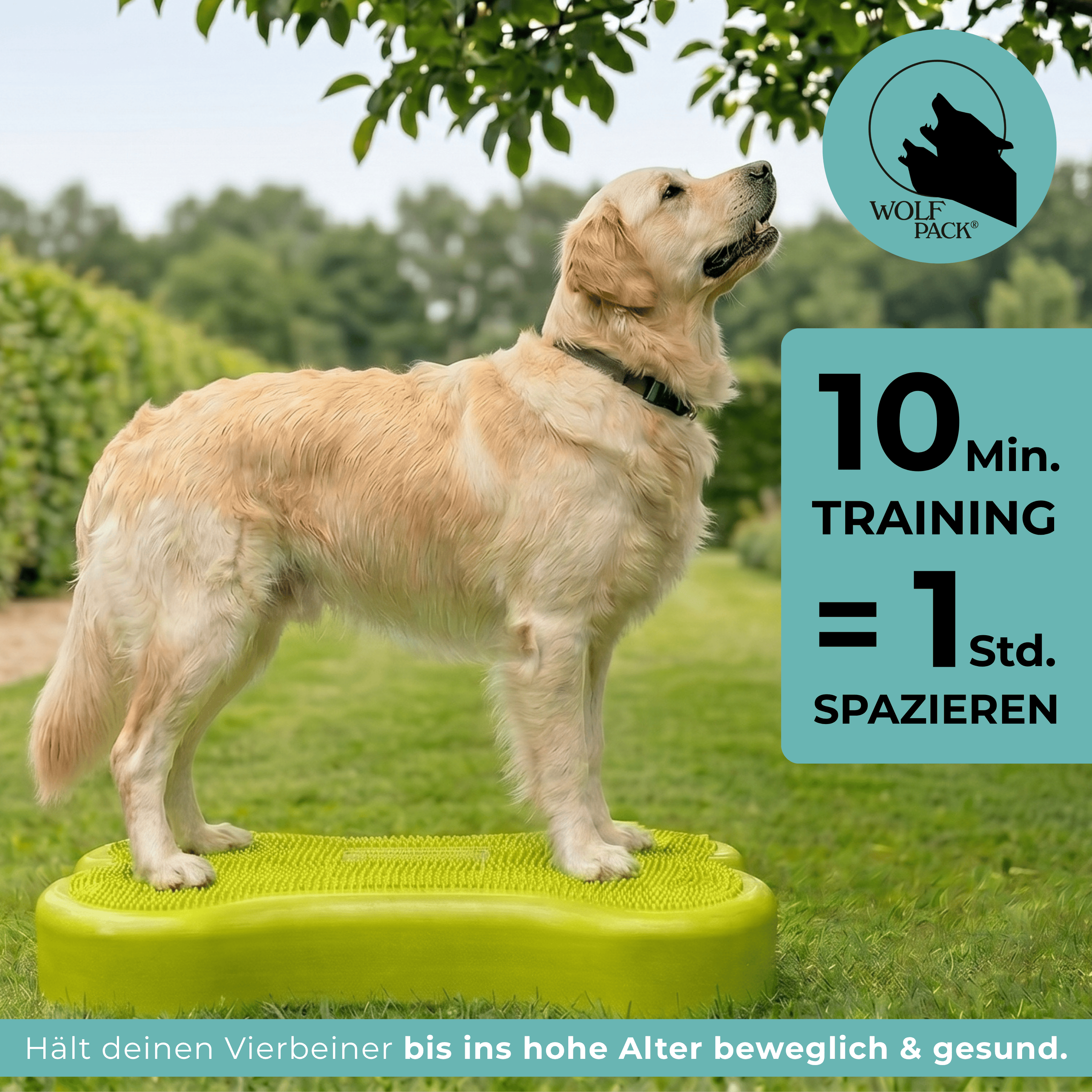 Wolf Pack® Physioprodukte Wolf Pack® CORE | Better4Pets-Edition - Giant Fitness Dog Bone/Trainingsgerät für große Hunde