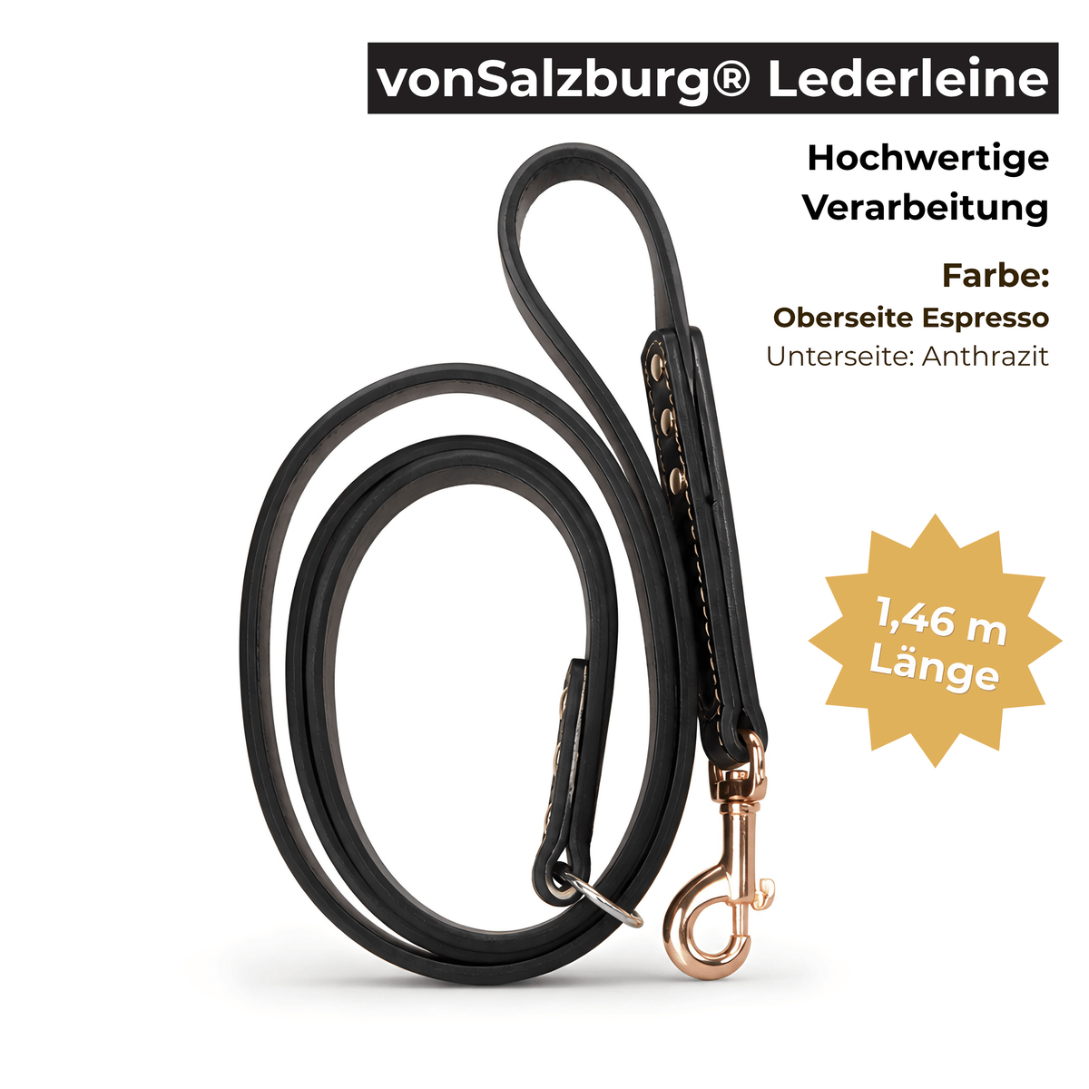 vonSalzburg® Leinen vonSalzburg® Dog Lederleine | Hundeleine mit Leder-Oberseite Espresso, Karabiner in Roségold, 1,46 m