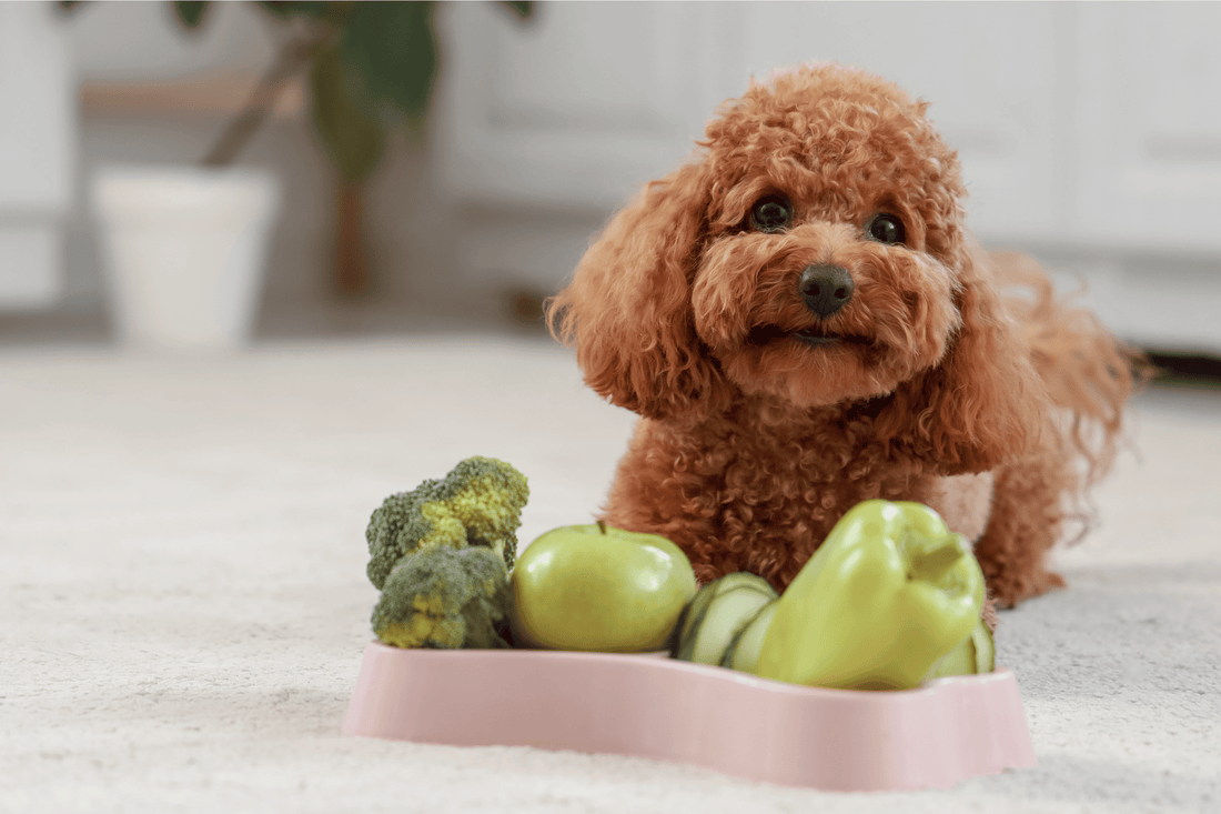 Gesund & fit halten – Gesundheitsratgeber, Physio-Produkte