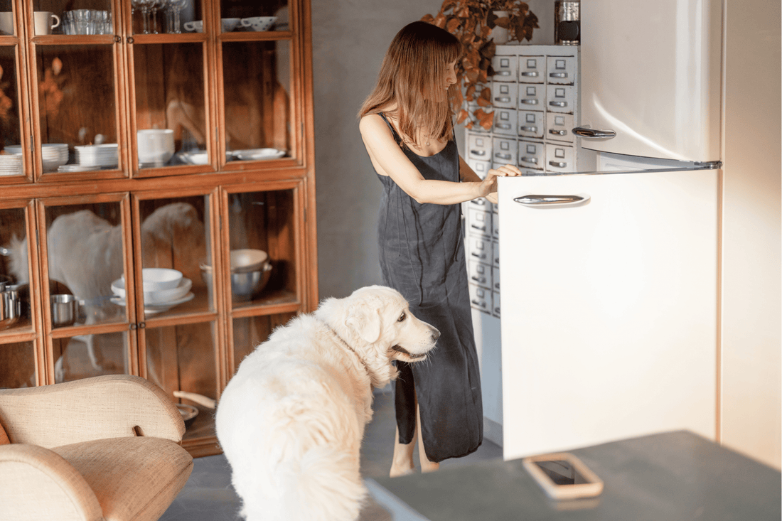 Futter & Ernährung – Ernährungsratgeber, Zubehör