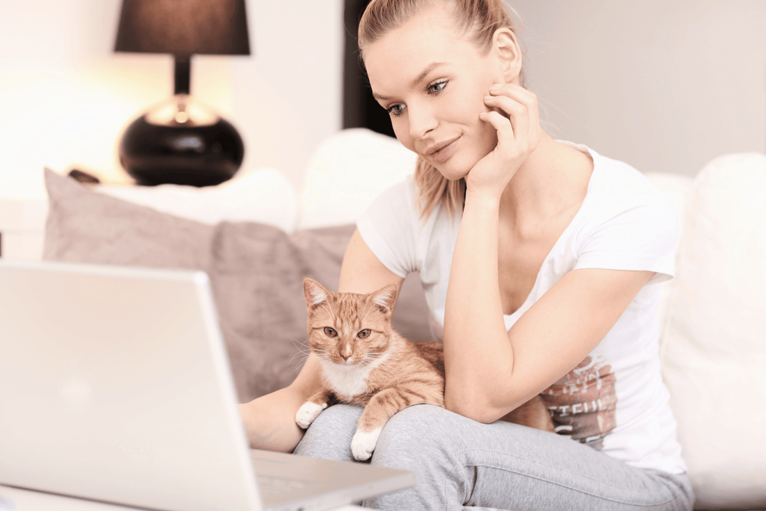 Geschenke & Inspiration – Boxen, Bundles