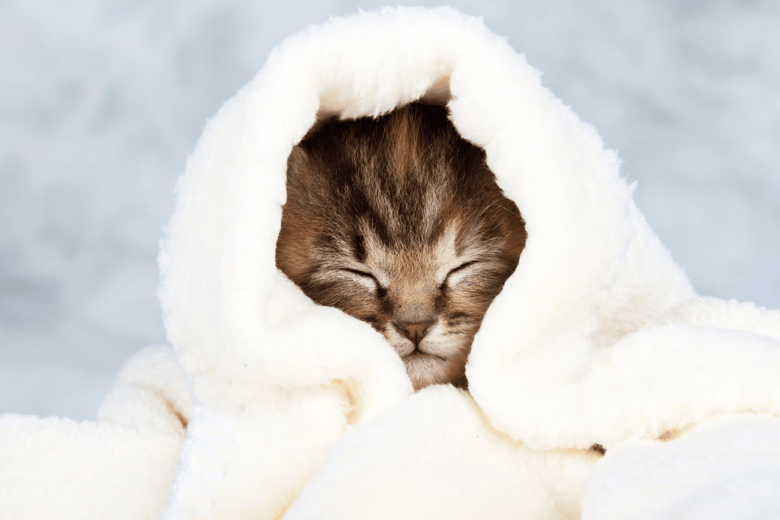 Gesundheit & Pflege – Gesundheitsratgeber, Pflegeprodukte