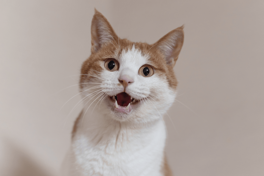 Probleme lösen – Ratgeber, unterstützende Produkte