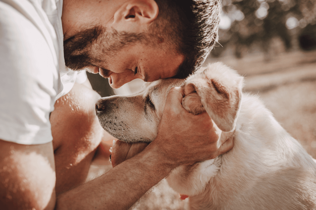 Senior & besondere Bedürfnisse – Seniorenratgeber, Hilfsmittel