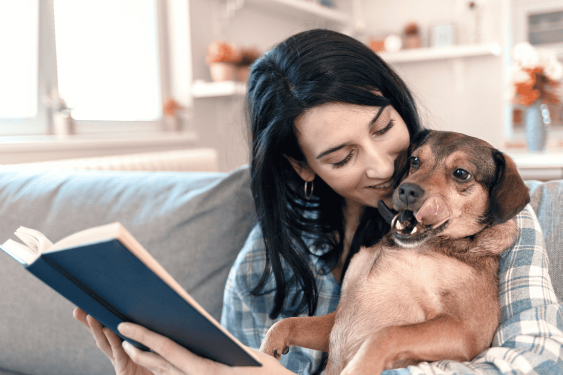 Unterhaltung – Krimidinner etc.