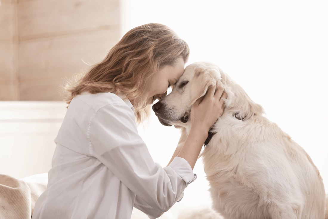 Wissen & Weiterbildung – Fachbücher