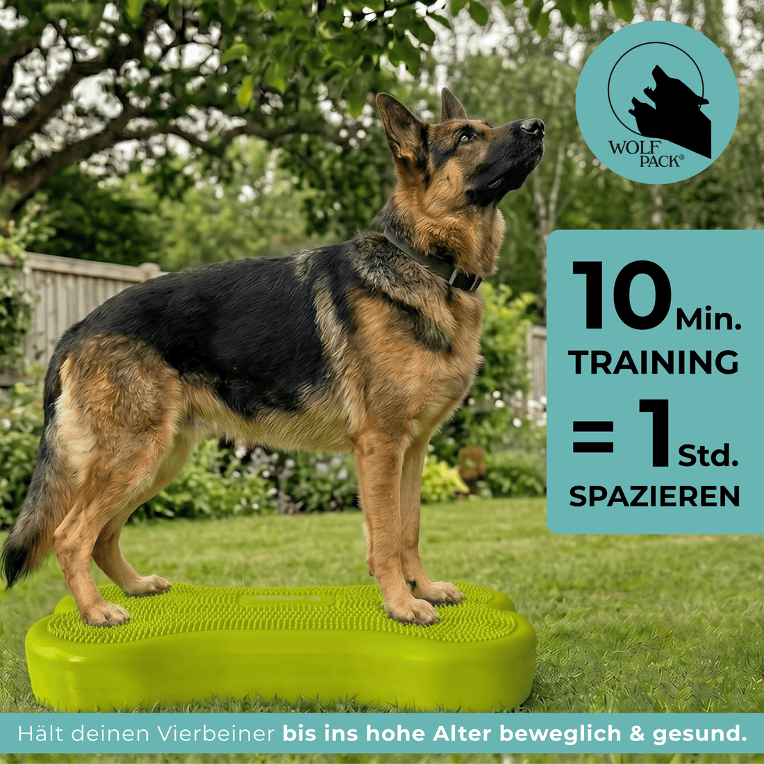 Wolf Pack® Physioprodukte Wolf Pack® ALPHA | Better4Pets-Edition - Giant Fitness Dog Bone /Trainingsgerät für große Hunde