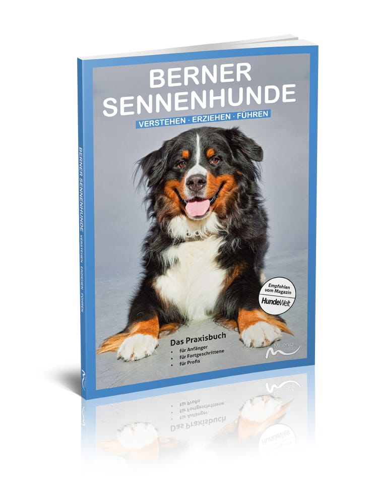Good4Pets Store Bücher Berner Sennenhunde (Print,Buch)