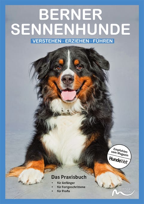 Good4Pets Store Bücher Berner Sennenhunde (Print,Buch)
