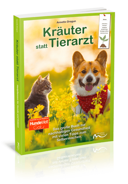 Good4Pets Store Bücher Kräuter statt Tierarzt - Heilpflanzen für Hunde und Katzen (Print,Buch)