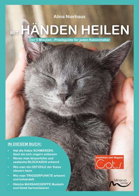 <em>Mit Händen heilen</em> - Der 5-Minuten-Praxisguide (Print,Buch)