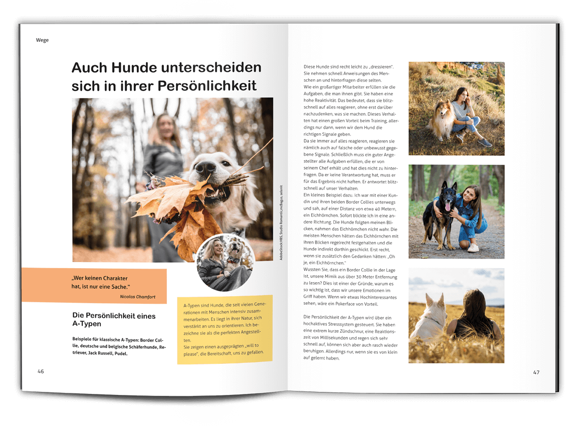 Good4Pets Store Bücher Follow me - Das Leadership-Praxisbuch für Rudelführer (Print,Buch)