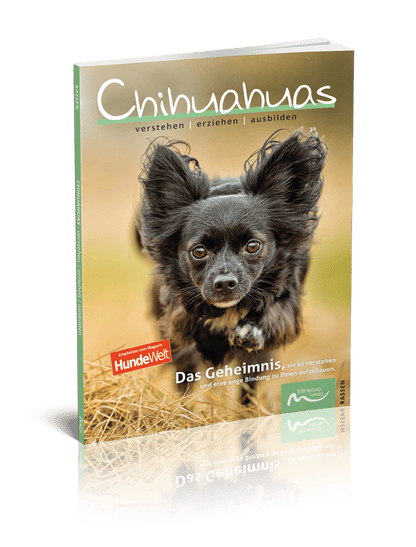 Good4Pets Store Bücher Chihuahuas verstehen | erziehen | ausbilden (Print, Buch)
