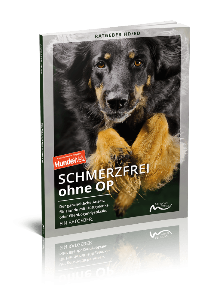 Good4Pets Store Bücher Schmerzfrei ohne OP (Print, Buch)