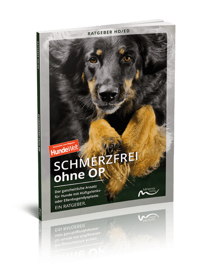 Good4Pets Store Bücher Schmerzfrei ohne OP (Print, Buch)
