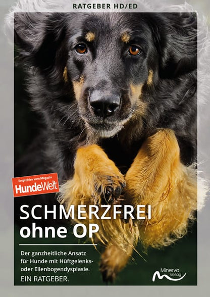 Good4Pets Store Bücher Schmerzfrei ohne OP (Print, Buch)