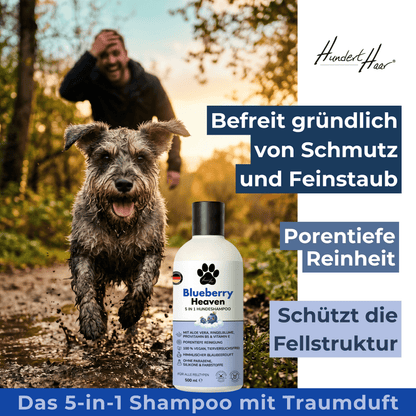 HundertHaar® Fellpflege Blueberry Heaven | 5-in-1 Hundeshampoo by HundertHaar® mit himmlischem Duft (500 ml)
