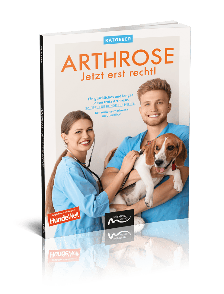 Good4Pets Store Bücher Arthrose - Jetzt erst recht! (Print, Buch)