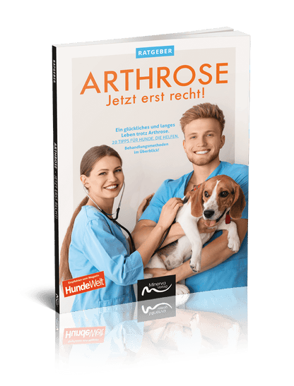 Good4Pets Store Bücher Arthrose - Jetzt erst recht! (Print, Buch)