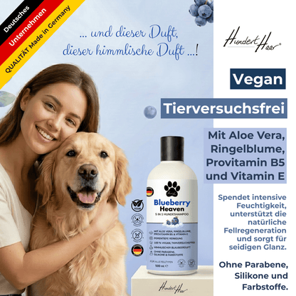 HundertHaar® Fellpflege Blueberry Heaven | 5-in-1 Hundeshampoo by HundertHaar® mit himmlischem Duft (500 ml)