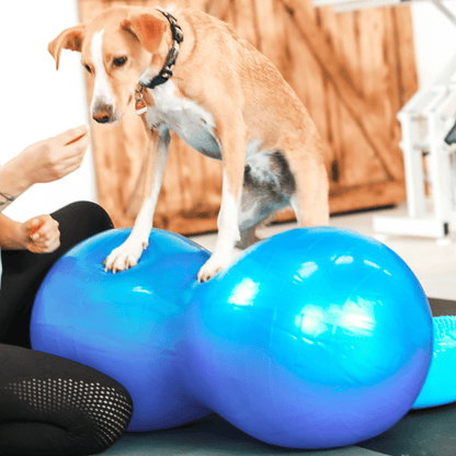 Wolf Pack® Physioprodukte Wolf Pack® FLOW | Better4Pets-Edition - Physio Peanut Ball für Mensch &amp; Tier