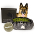 Wolf Pack® Sonstiges Wolf Pack® SCOUT | Black Edition – Schnüffeln macht glücklich