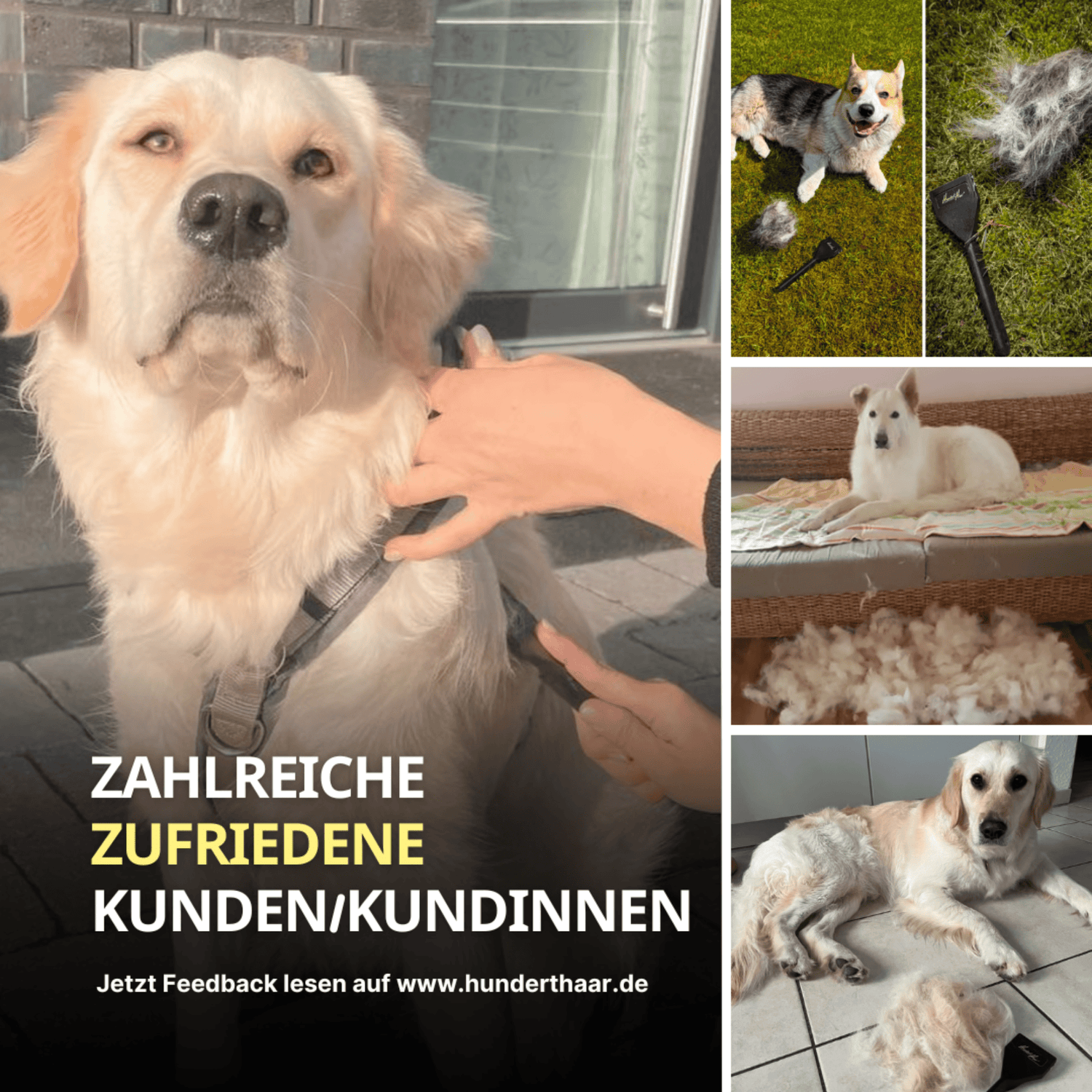 HundertHaar® Fellpflege HundertHaar® Trimmstriegel für Hunde und Katzen