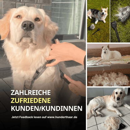 HundertHaar® Fellpflege HundertHaar® Trimmstriegel für Hunde und Katzen