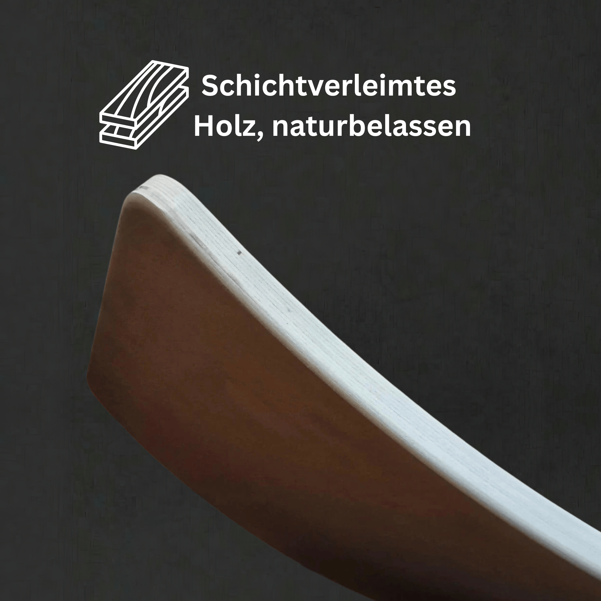 Wolf Pack® Physioprodukte Wolf Pack® ARC  | Black Edition - Balance Board/Trainingsgerät für Hunde