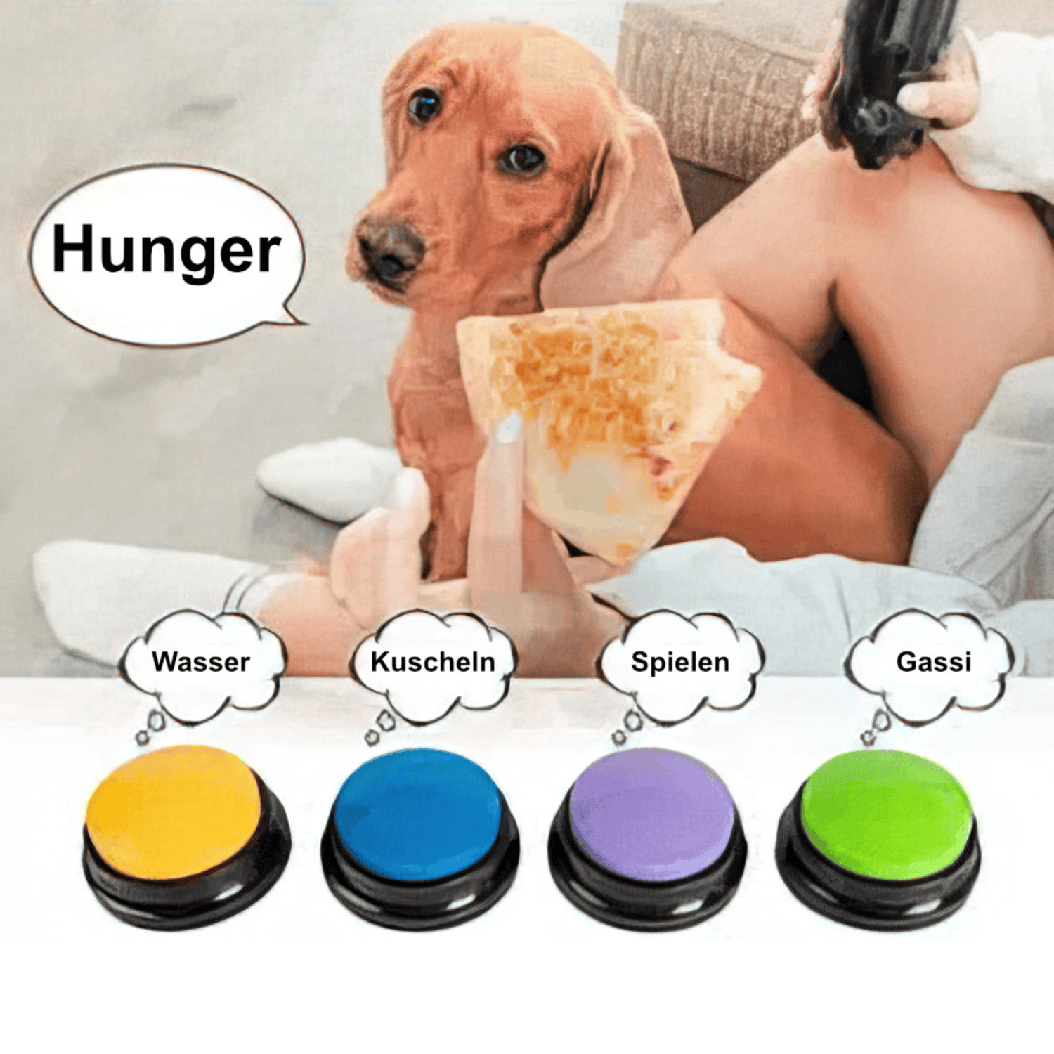 Good4Pets Store Sonstiges Training Buttons für Haustiere, 4er Set (versch. Farben)