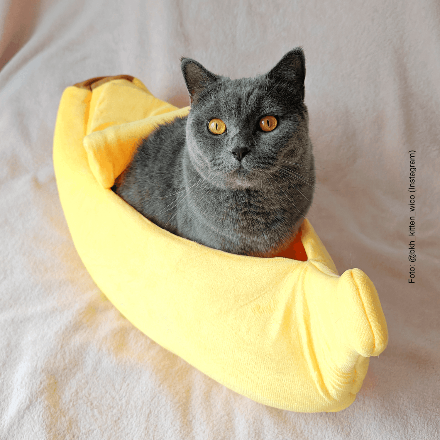 Good4Pets Store Sonstiges Bananen-Bett für Katzen und kleine Hunde (bis 5 kg)