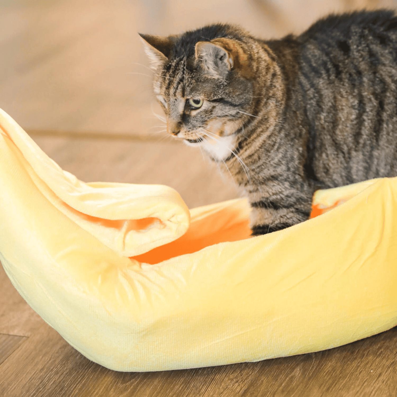 Good4Pets Store Sonstiges Bananen-Bett für Katzen und kleine Hunde (bis 5 kg)