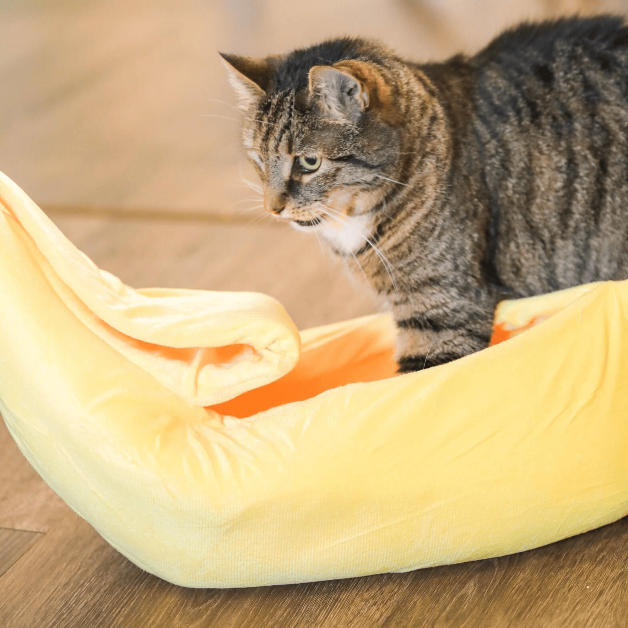 Good4Pets Store Sonstiges Bananen-Bett für Katzen und kleine Hunde (bis 5 kg)