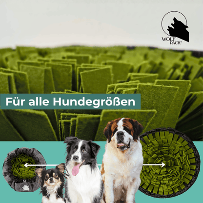 Wolf Pack® Sonstiges Wolf Pack® SCOUT | Black Edition – Schnüffeln macht glücklich