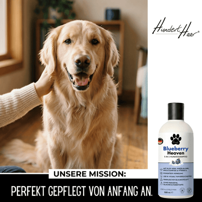 HundertHaar® Fellpflege Blueberry Heaven | 5-in-1 Hundeshampoo by HundertHaar® mit himmlischem Duft (500 ml)