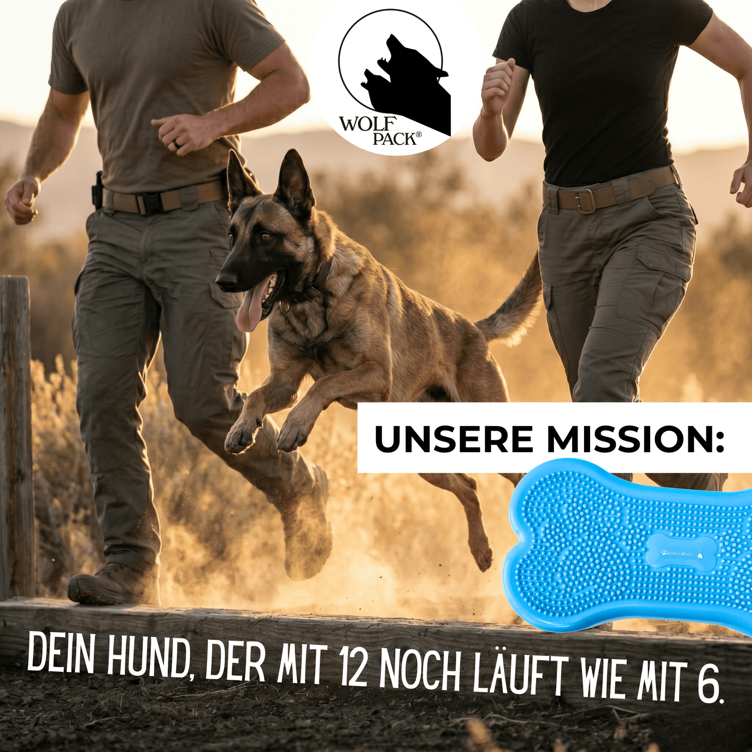 Wolf Pack® Physioprodukte Wolf Pack® BLUE | Better4Pets-Edition - Fitness Dog Bone/Trainingsgerät für Hunde