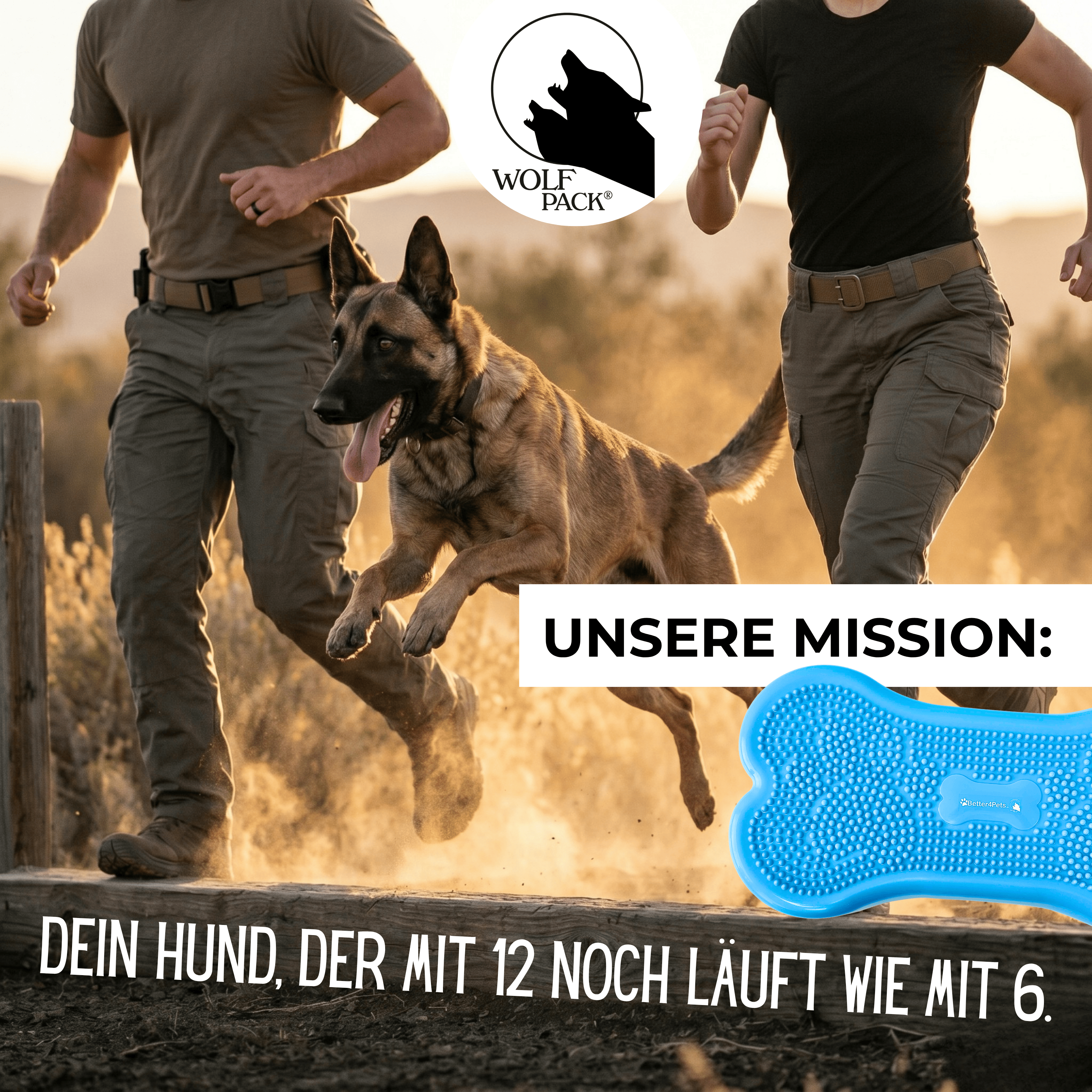 Wolf Pack® Physioprodukte Wolf Pack® BLUE | Better4Pets-Edition - Fitness Dog Bone/Trainingsgerät für Hunde