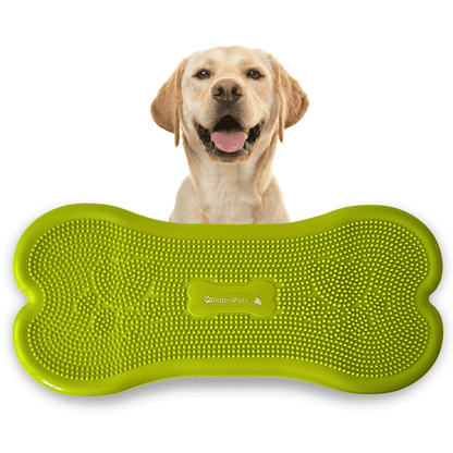 Wolf Pack® Physioprodukte Wolf Pack® CORE | Better4Pets-Edition - Giant Fitness Dog Bone/Trainingsgerät für große Hunde