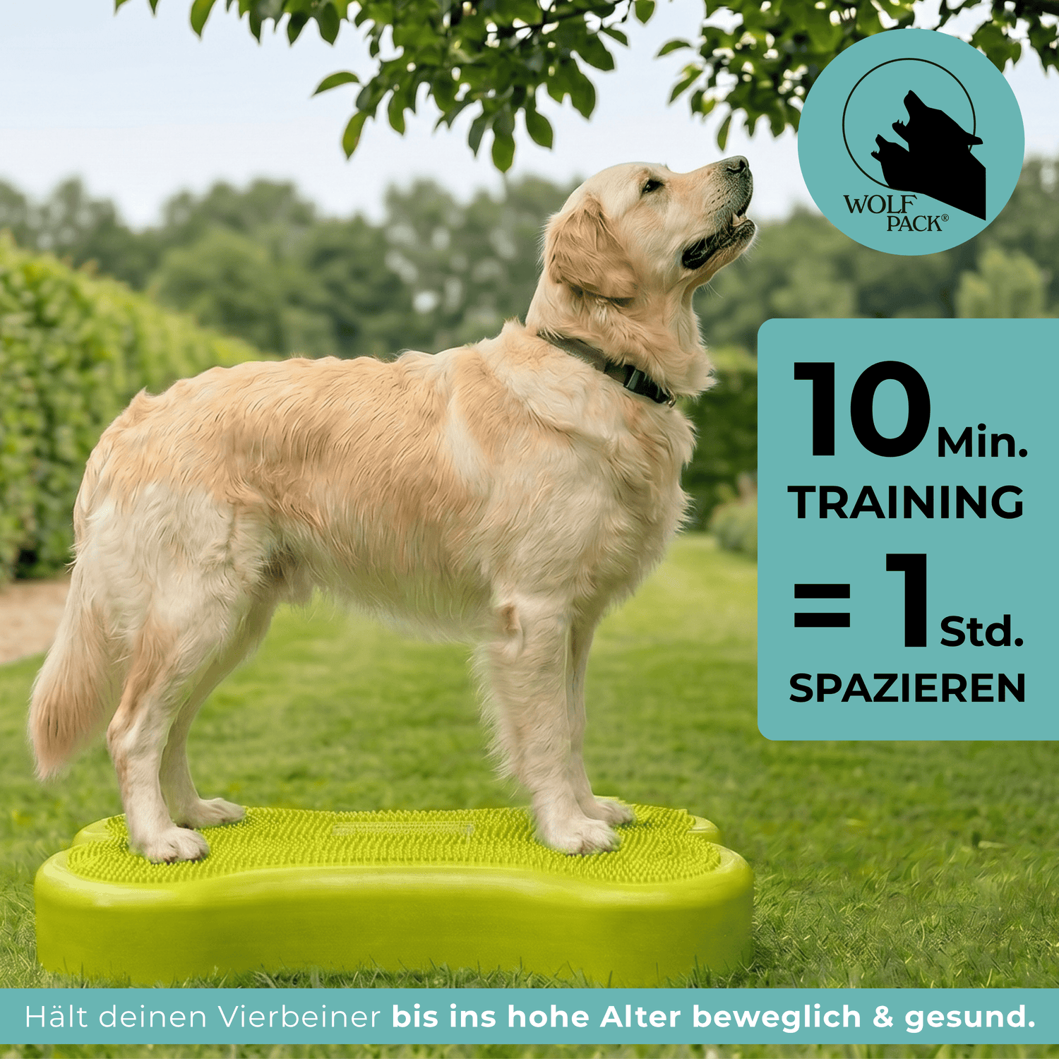 Wolf Pack® Physioprodukte Wolf Pack® CORE | Better4Pets-Edition - Giant Fitness Dog Bone/Trainingsgerät für große Hunde