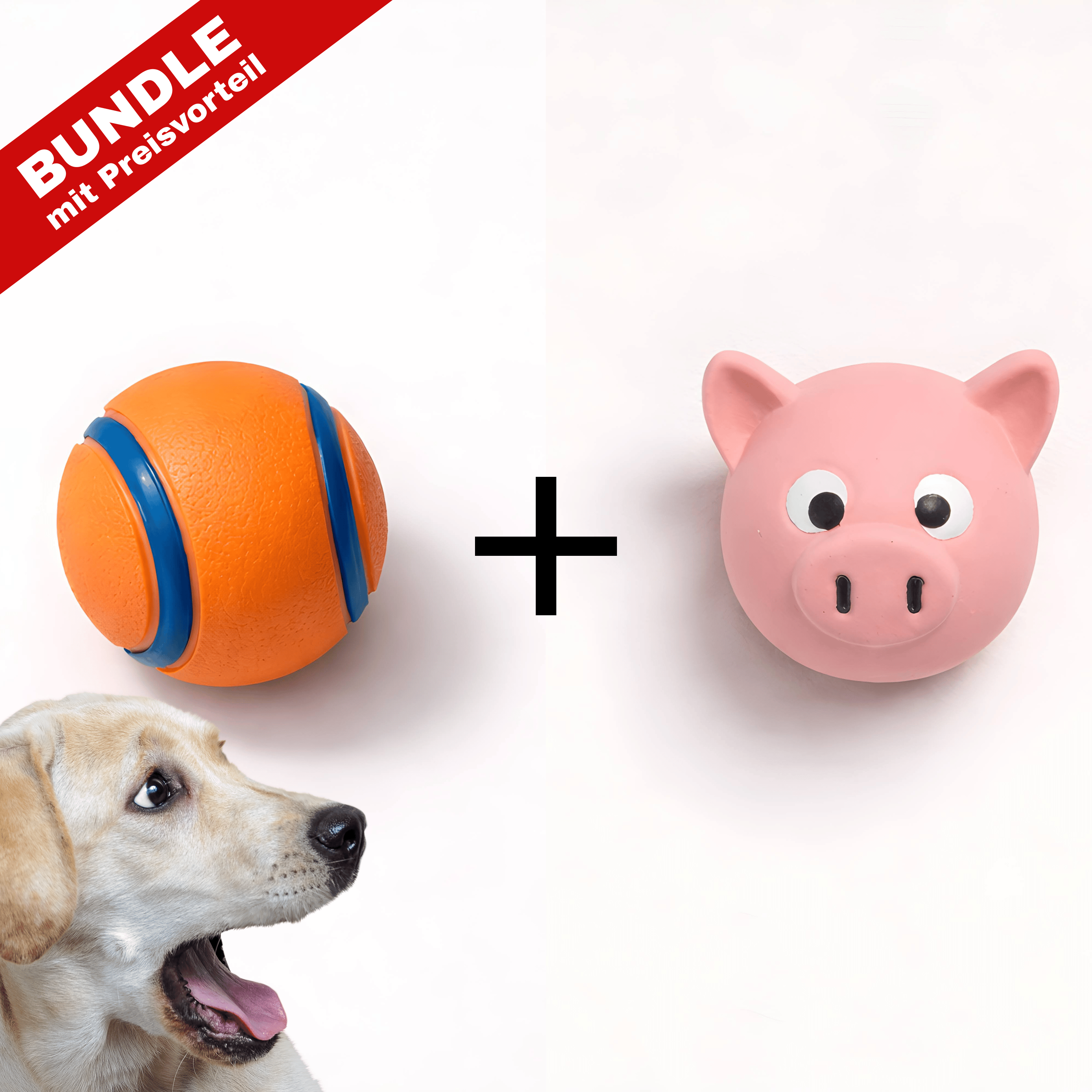 Good4Pets - Edition Bundle Hunde-Spielset (aktiv)